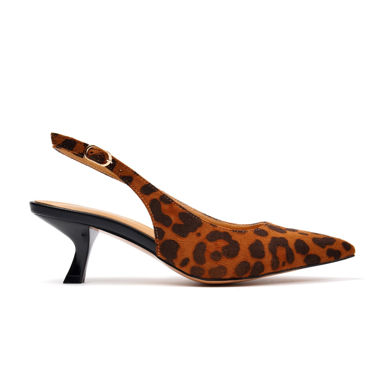1947,Cheetah Brown