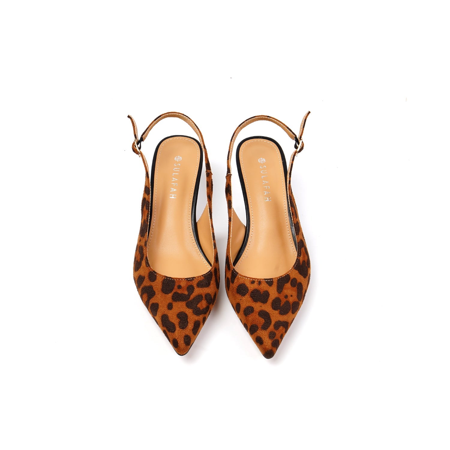 1947,Cheetah Brown