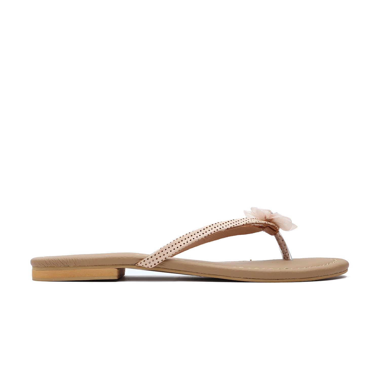 9744, Champagne