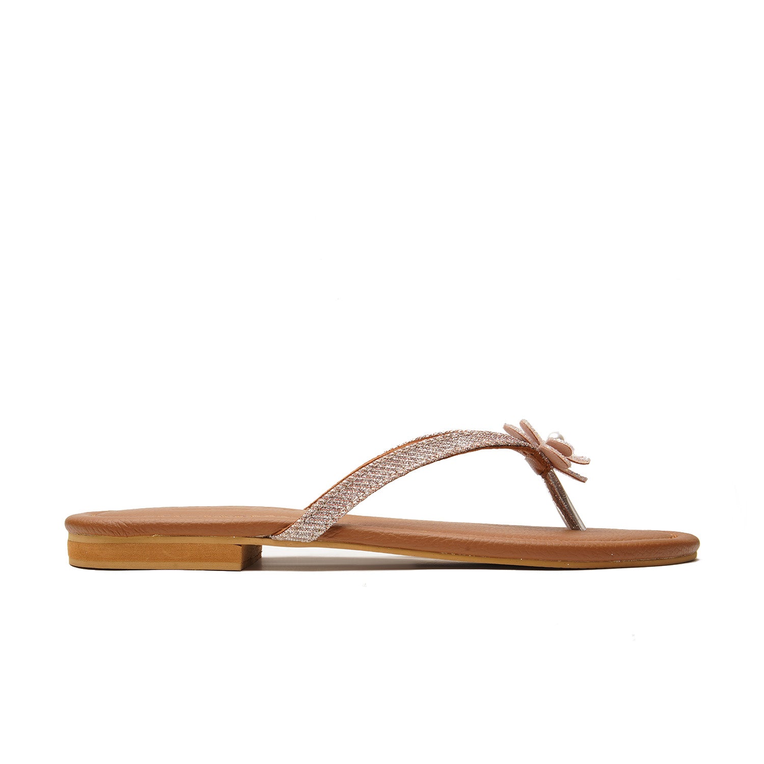 9754, Champagne