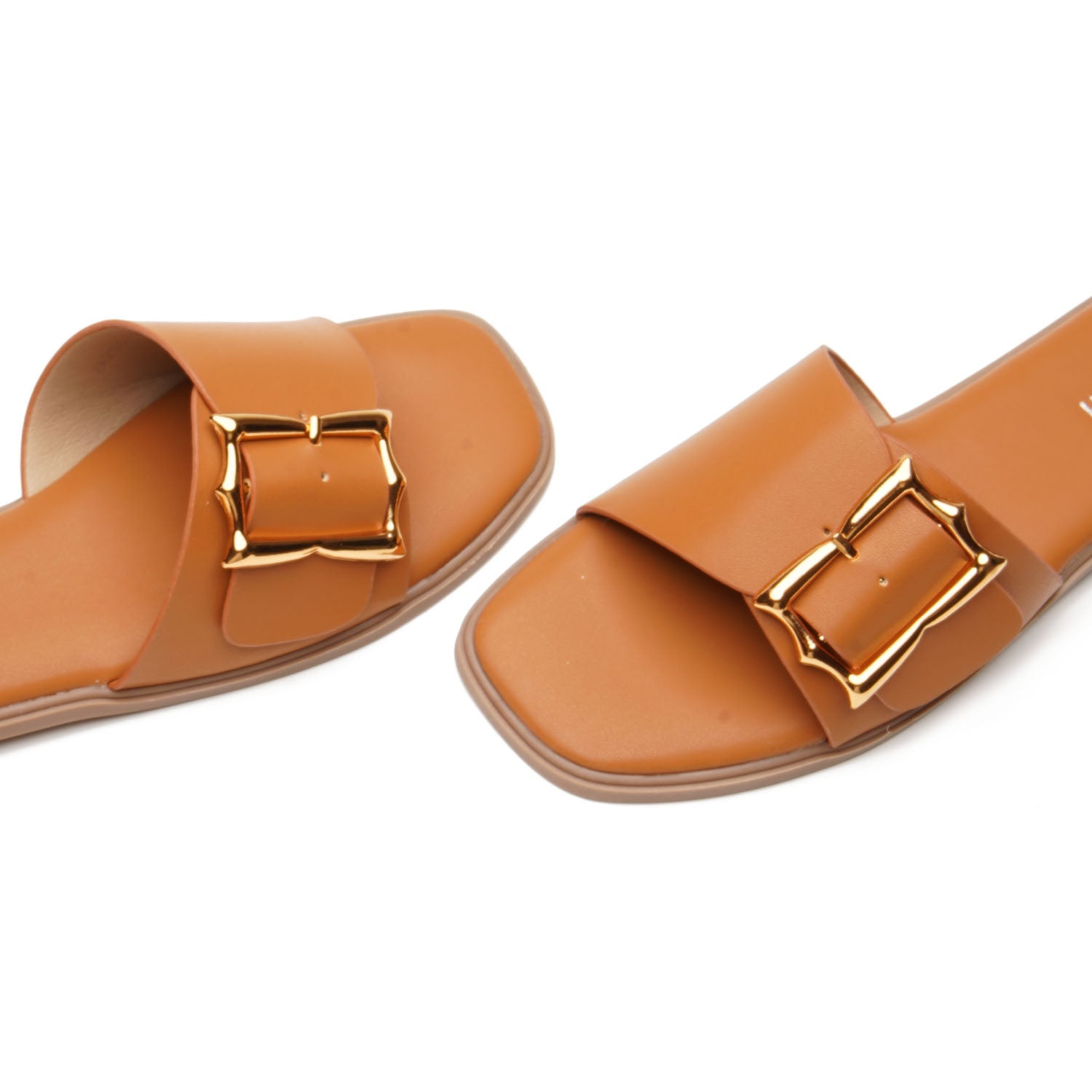 Seep Brown - 2073