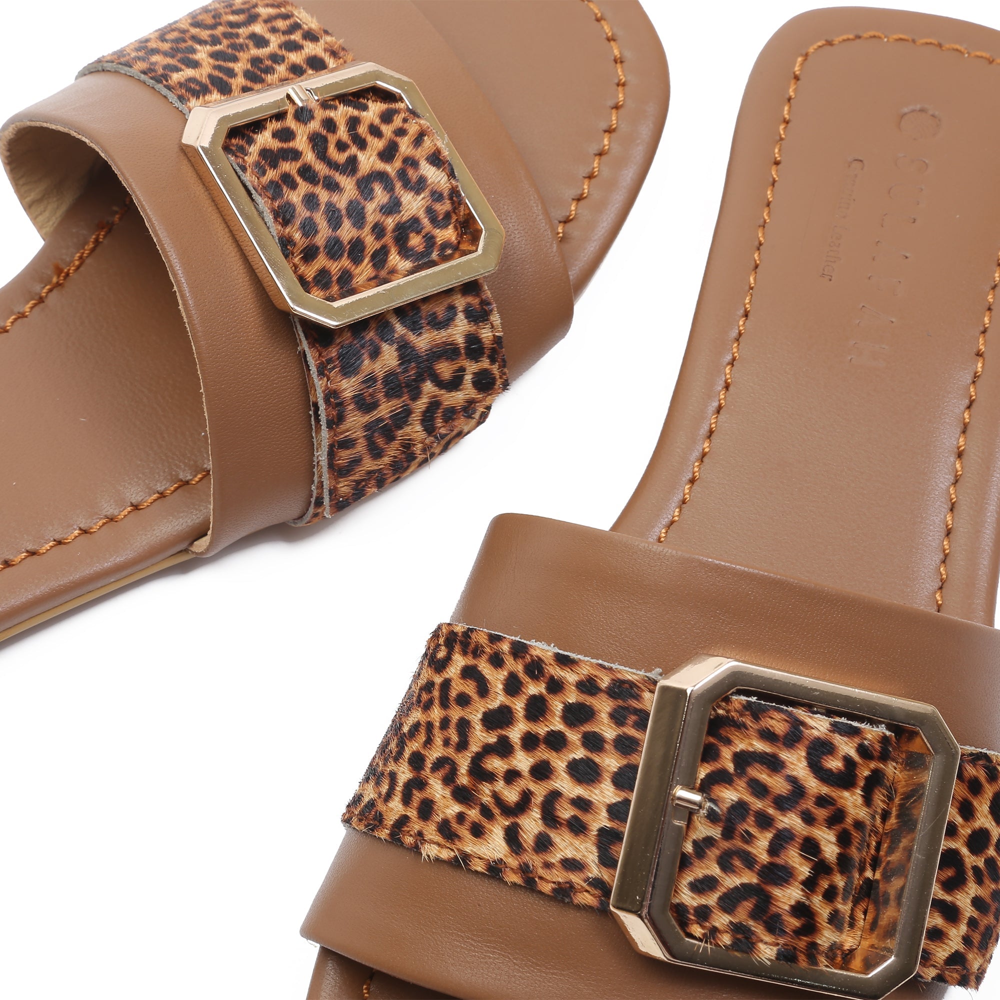 9481, Cheetah Brown