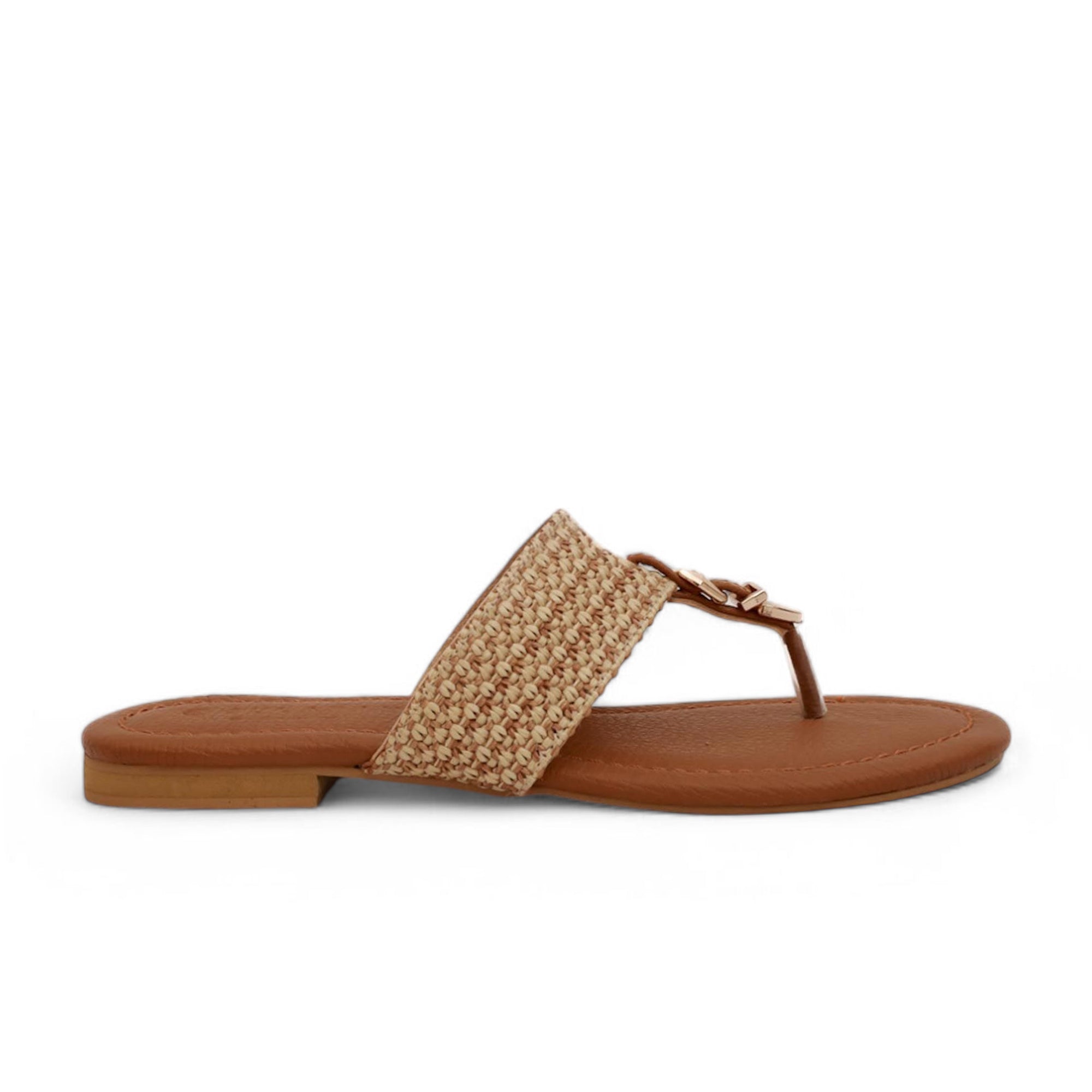 9549, Brown