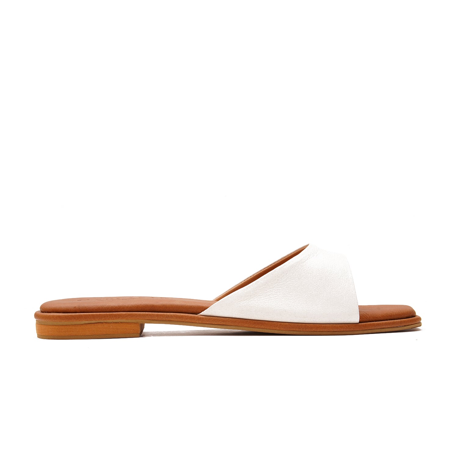 Rukhsar White - 9564