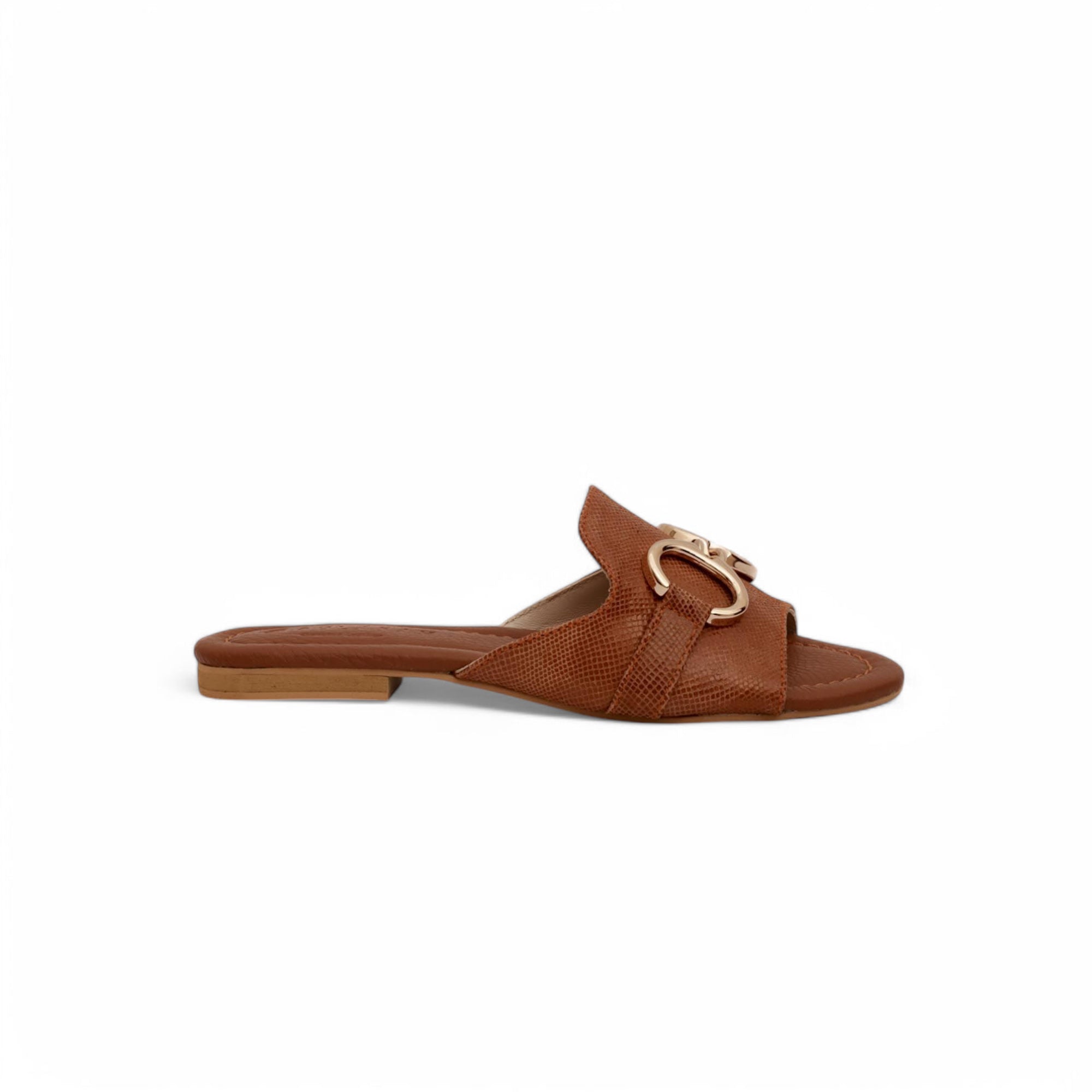 9571, Brown