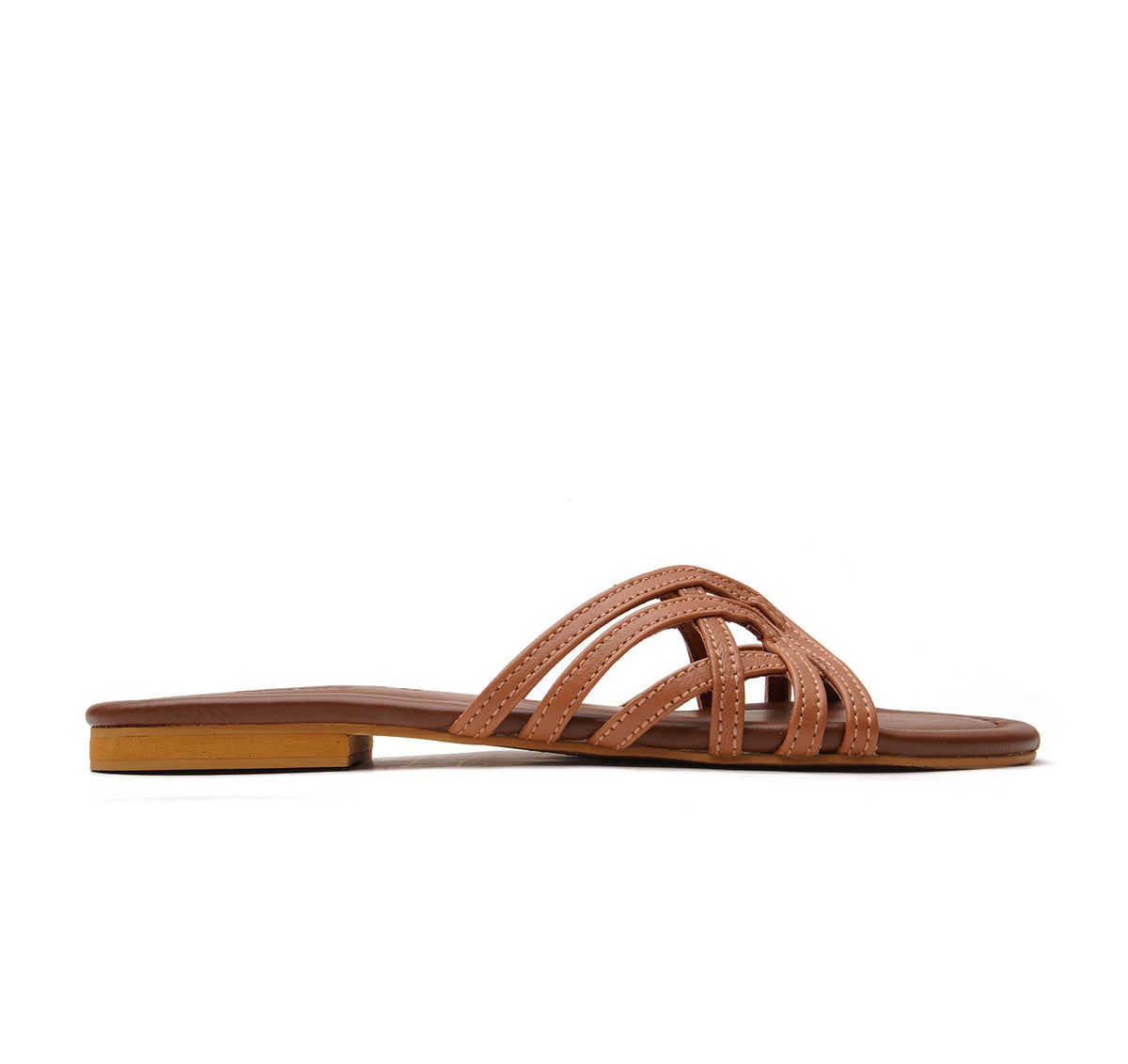 Brown - 9781
